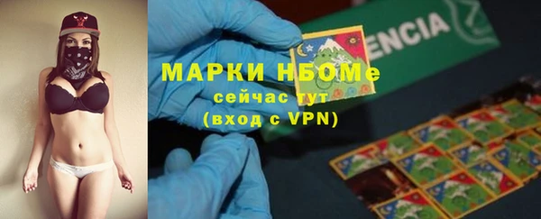 трава Магас