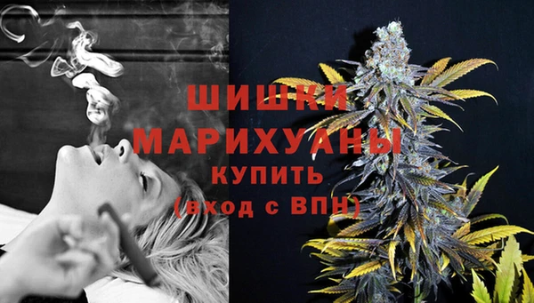 spice Алагир