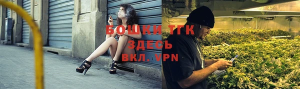 трава Магас