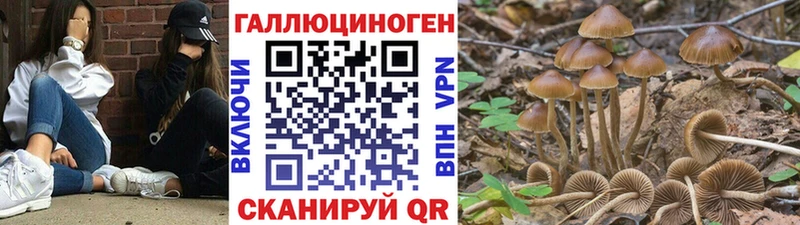 кракен маркетплейс  это состав  Галлюциногенные грибы ЛСД  наркотики  Долинск 